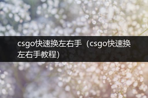 csgo快速换左右手（csgo快速换左右手教程）