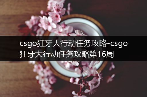 csgo狂牙大行动任务攻略-csgo狂牙大行动任务攻略第16周