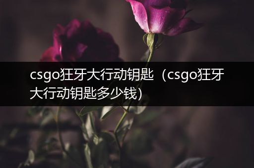 csgo狂牙大行动钥匙（csgo狂牙大行动钥匙多少钱）