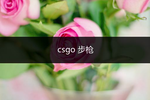 csgo 步枪