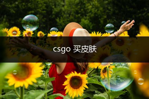 csgo 买皮肤