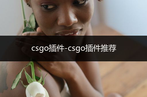 csgo插件-csgo插件推荐