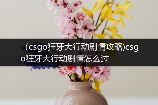 （csgo狂牙大行动剧情攻略)csgo狂牙大行动剧情怎么过