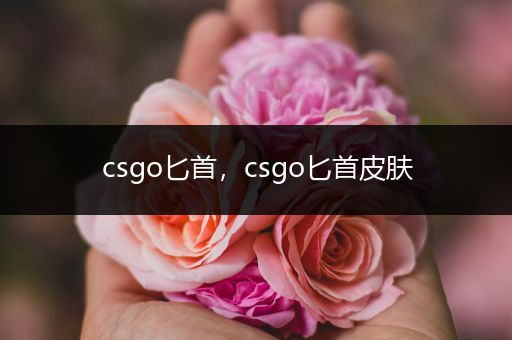 csgo匕首，csgo匕首皮肤