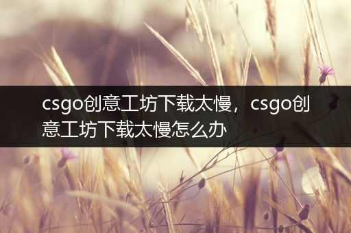 csgo创意工坊下载太慢，csgo创意工坊下载太慢怎么办