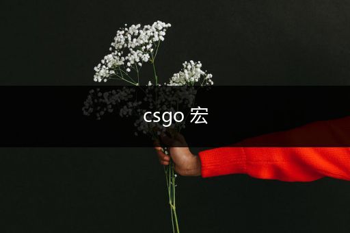 csgo 宏