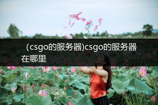 （csgo的服务器)csgo的服务器在哪里