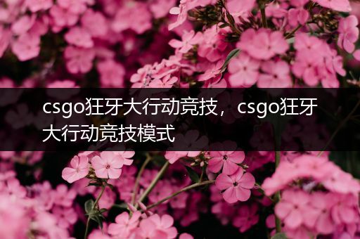 csgo狂牙大行动竞技，csgo狂牙大行动竞技模式