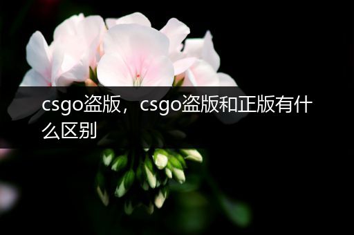 csgo盗版，csgo盗版和正版有什么区别