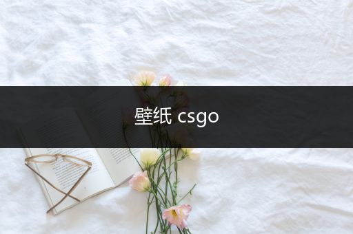 壁纸 csgo