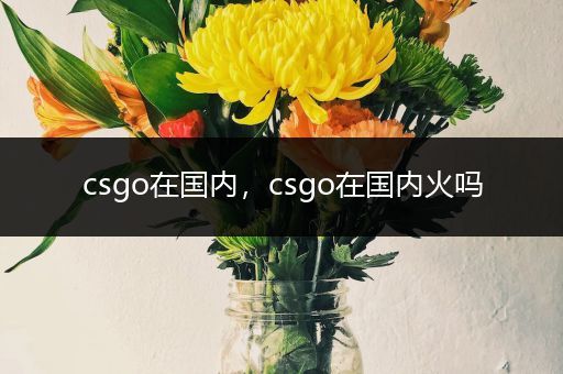 csgo在国内，csgo在国内火吗