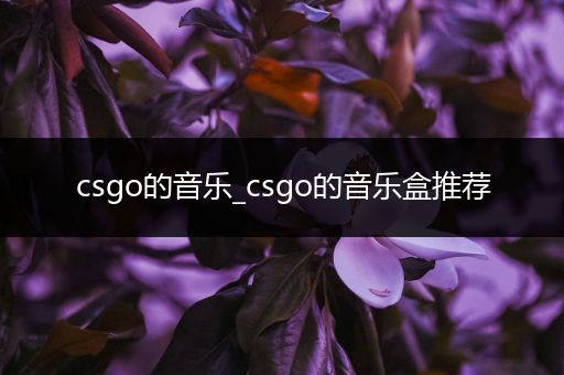 csgo的音乐_csgo的音乐盒推荐