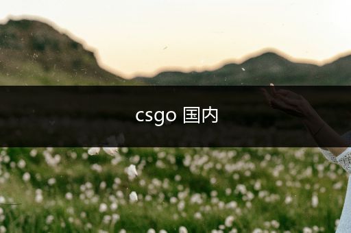 csgo 国内