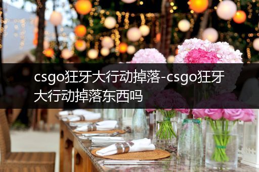 csgo狂牙大行动掉落-csgo狂牙大行动掉落东西吗