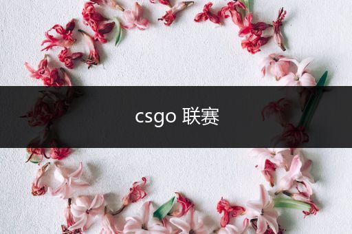 csgo 联赛