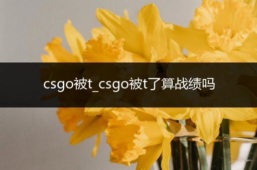 csgo被t_csgo被t了算战绩吗