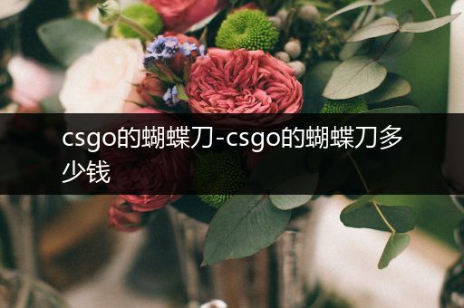 csgo的蝴蝶刀-csgo的蝴蝶刀多少钱