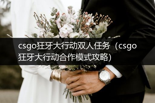 csgo狂牙大行动双人任务（csgo狂牙大行动合作模式攻略）