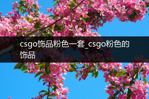 csgo饰品粉色一套_csgo粉色的饰品