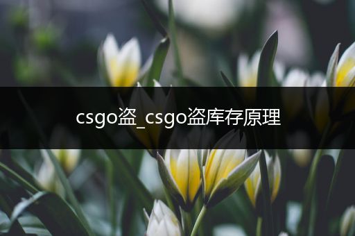 csgo盗_csgo盗库存原理