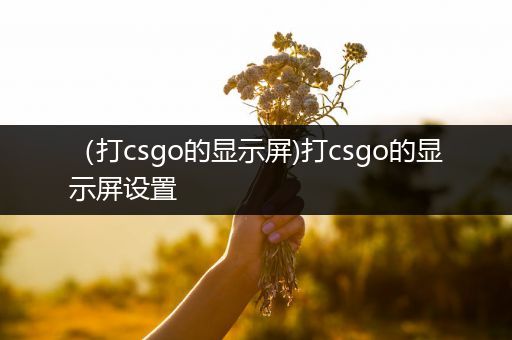 （打csgo的显示屏)打csgo的显示屏设置