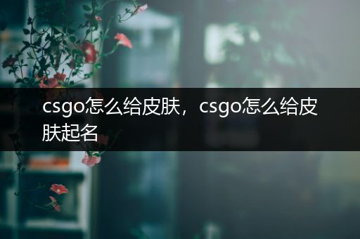 csgo怎么给皮肤，csgo怎么给皮肤起名