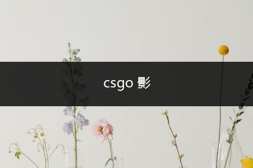 csgo 影