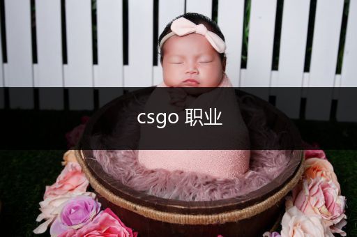 csgo 职业