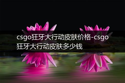 csgo狂牙大行动皮肤价格-csgo狂牙大行动皮肤多少钱