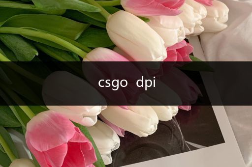 csgo  dpi