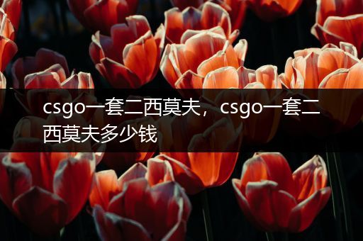 csgo一套二西莫夫，csgo一套二西莫夫多少钱