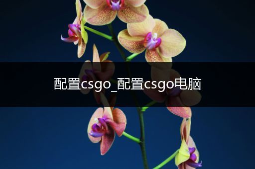 配置csgo_配置csgo电脑