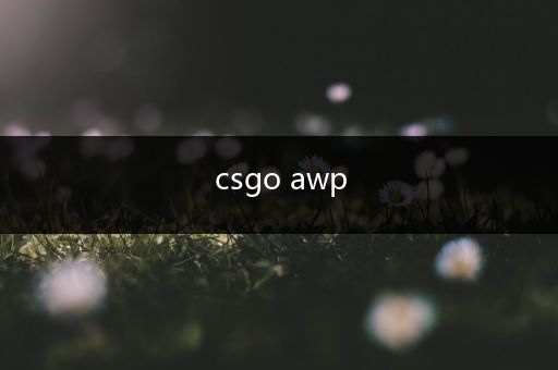 csgo awp