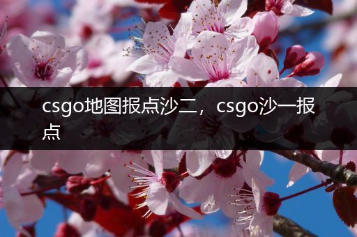 csgo地图报点沙二，csgo沙一报点