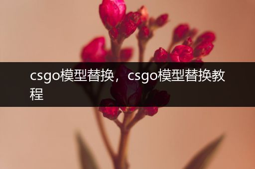 csgo模型替换，csgo模型替换教程