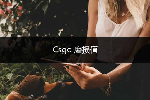 Csgo 磨损值