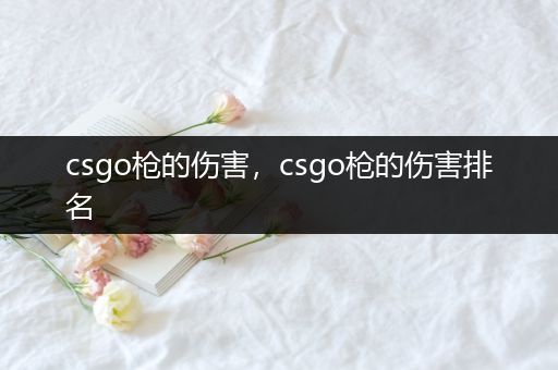 csgo枪的伤害，csgo枪的伤害排名