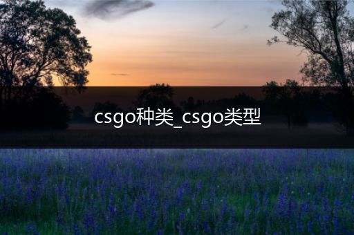 csgo种类_csgo类型