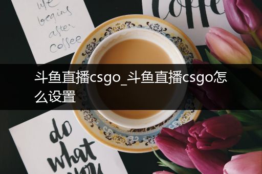 斗鱼直播csgo_斗鱼直播csgo怎么设置