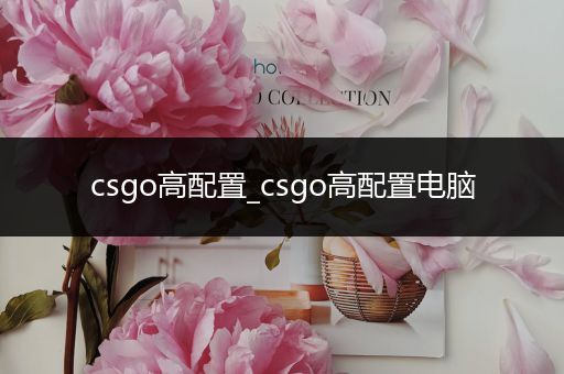 csgo高配置_csgo高配置电脑