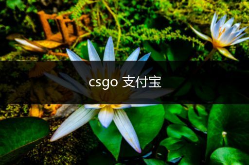 csgo 支付宝