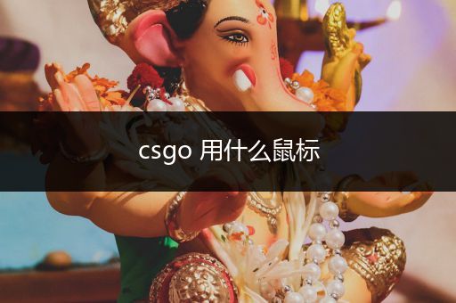 csgo 用什么鼠标