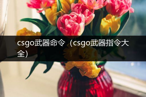 csgo武器命令（csgo武器指令大全）