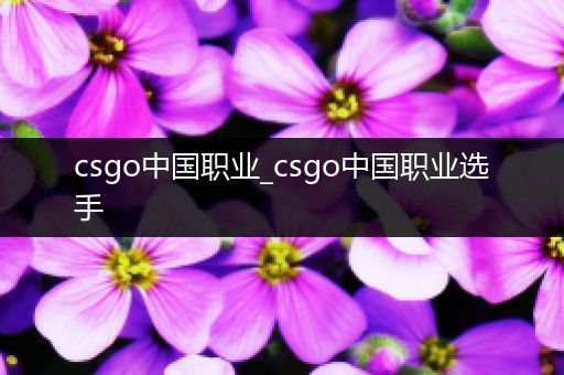 csgo中国职业_csgo中国职业选手