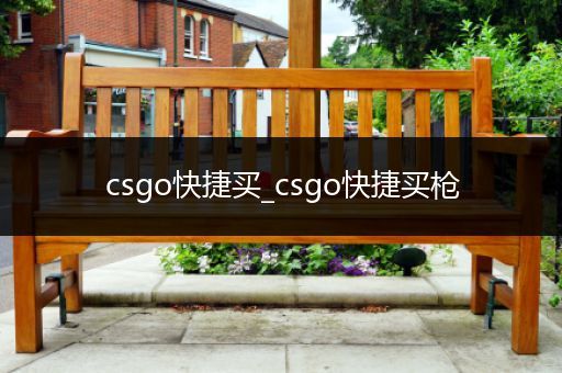 csgo快捷买_csgo快捷买枪