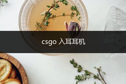 csgo 入耳耳机