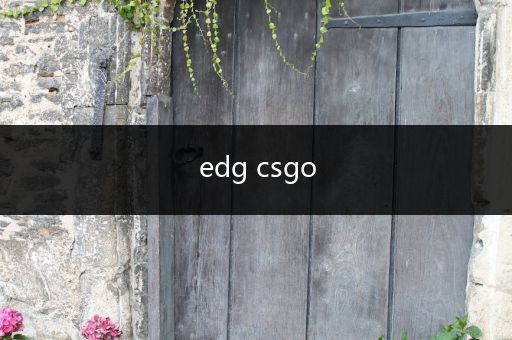 edg csgo