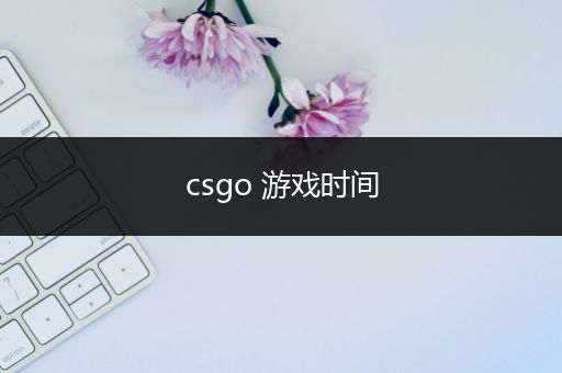 csgo 游戏时间