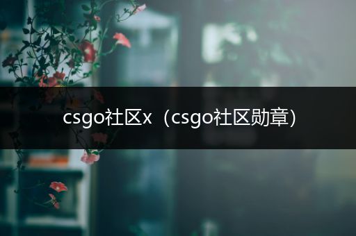 csgo社区x（csgo社区勋章）