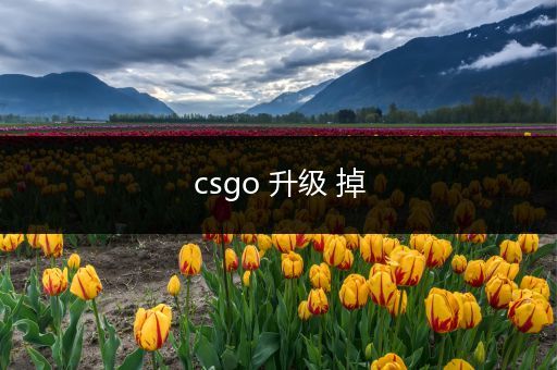 csgo 升级 掉